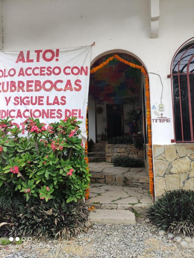 Hotel Raiz De Sierra Matlapa Buitenkant foto